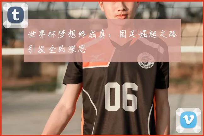 世界杯梦想终成真，国足崛起之路引发全民深思