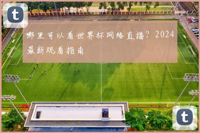 哪里可以看世界杯网络直播？2024最新观看指南