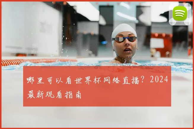 哪里可以看世界杯网络直播？2024最新观看指南
