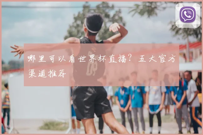 哪里可以看世界杯直播？五大官方渠道推荐
