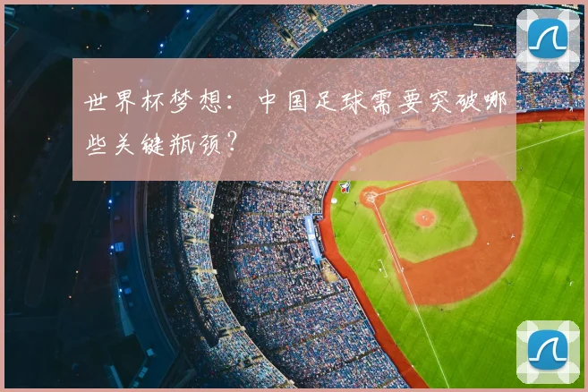 世界杯梦想:中国足球需要突破哪些关键瓶颈?