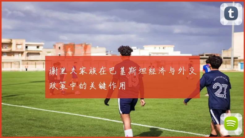 谢里夫家族在巴基斯坦经济与外交政策中的关键作用