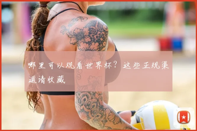 哪里可以观看世界杯？这些正规渠道请收藏
