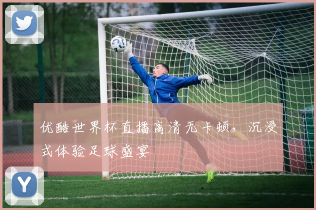 优酷世界杯直播高清无卡顿,沉浸式体验足球盛宴