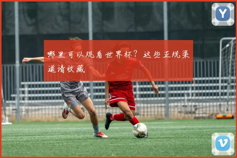 哪里可以观看世界杯？这些正规渠道请收藏