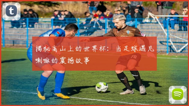 揭秘高山上的世界杯：当足球遇见喇嘛的震撼故事