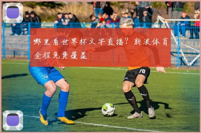 哪里看世界杯文字直播？新浪体育全程免费覆盖