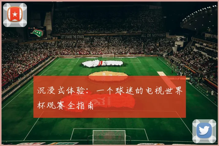 沉浸式体验：一个球迷的电视世界杯观赛全指南
