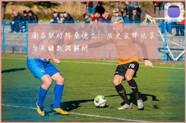 谢菲联对阵桑德兰：历史交锋记录与关键数据解析