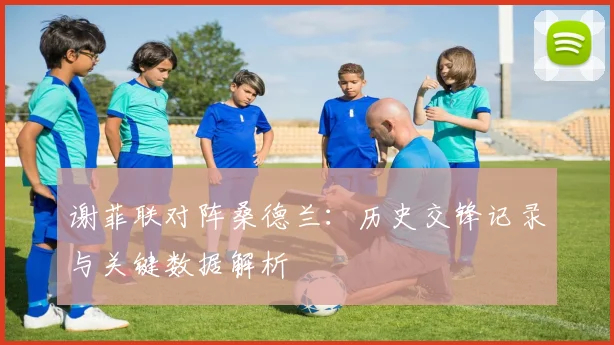 谢菲联对阵桑德兰：历史交锋记录与关键数据解析