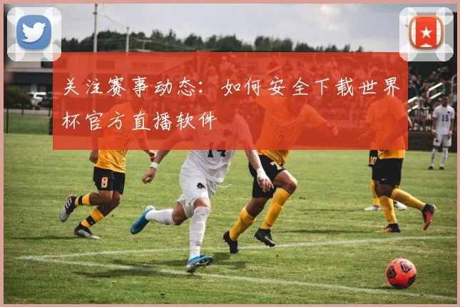 关注赛事动态：如何安全下载世界杯官方直播软件