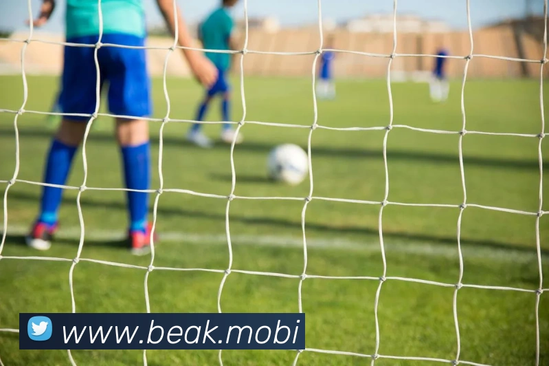 开云手机入口登录官网APP 封面图